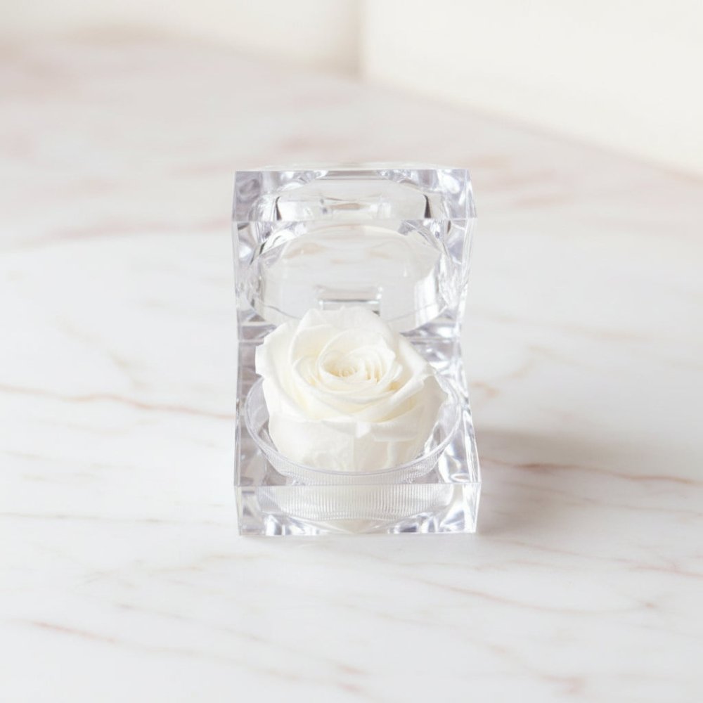 preserved white scented rose in wellness gift box