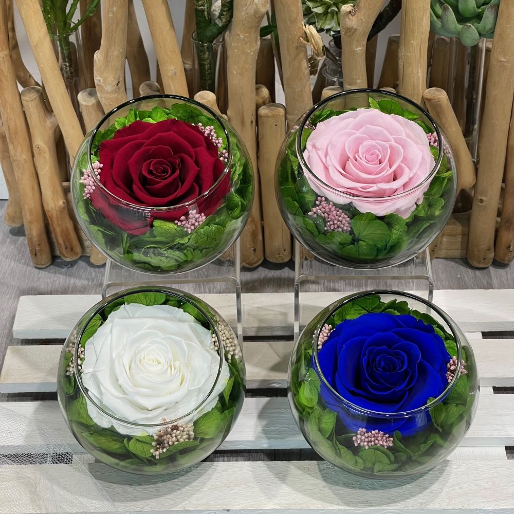 preserved rose in glass sphere...