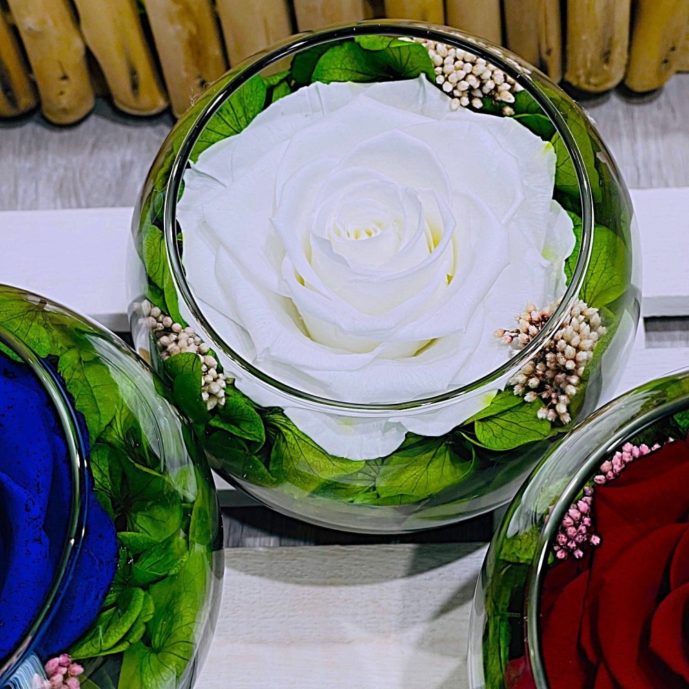 preserved rose in glass sphere...