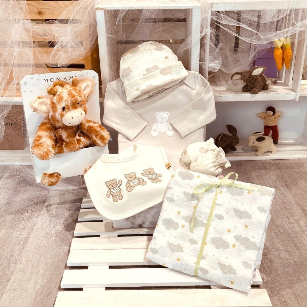 cadeau naissance Bibi Trésor avec couverture, bodysuit, ,mitaines et chapeau-Dolce Cadeaux