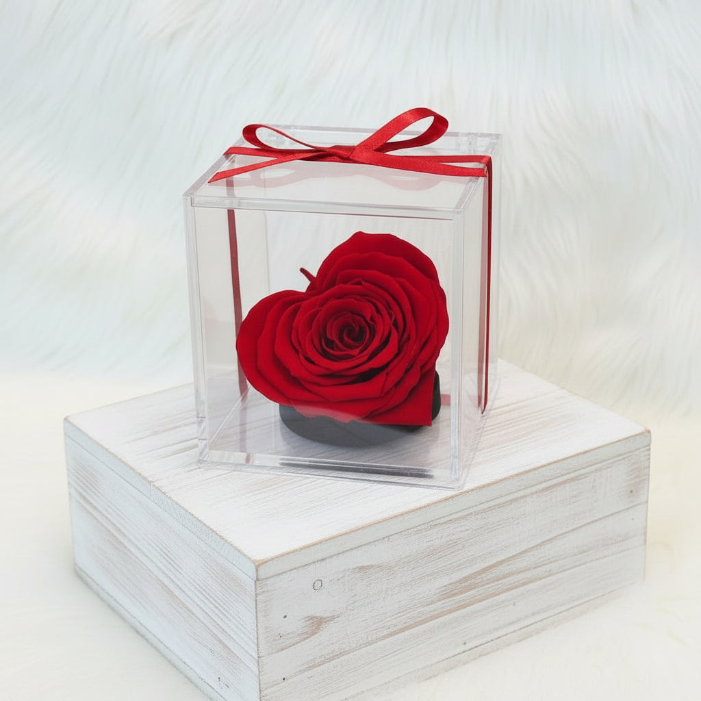 rose classique rouge