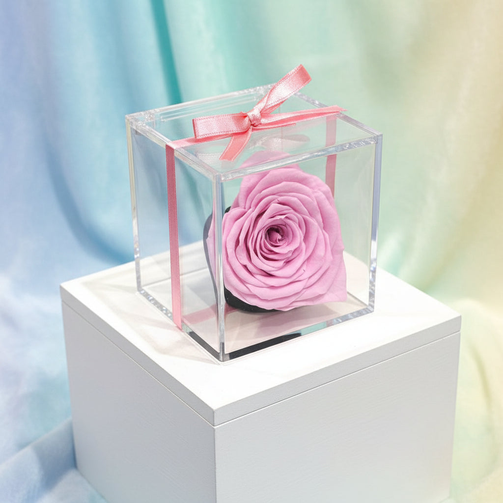magnifique rose - rose pastel