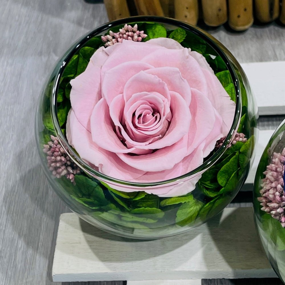rose éternelle...