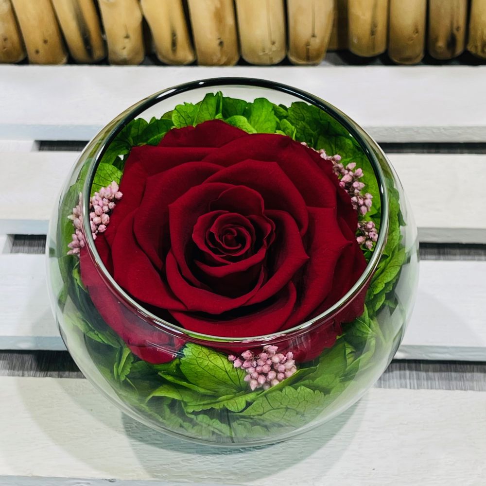 rose éternelle...